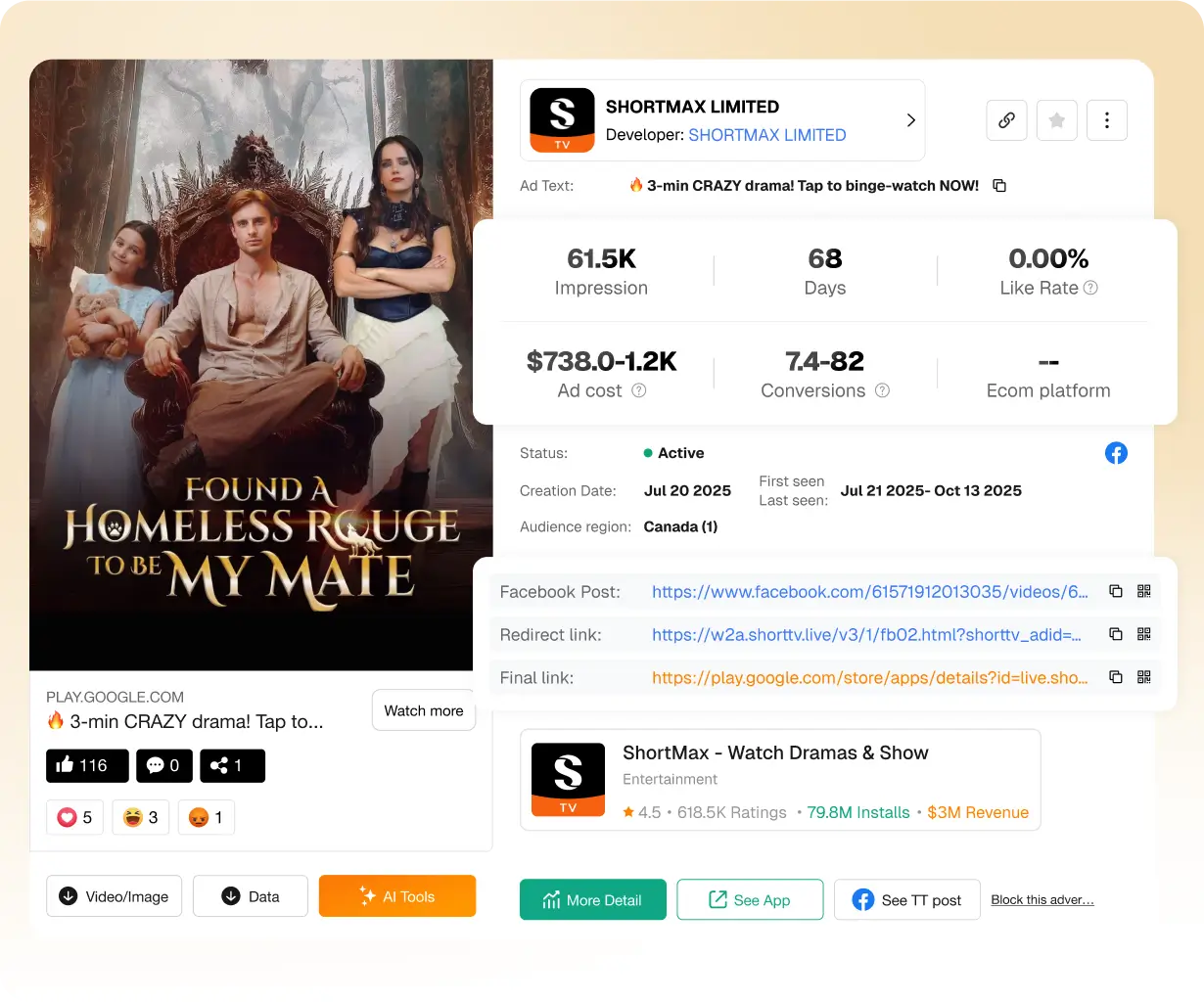 Advertentieprestaties & ROI-analyse